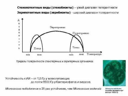 Широкий диапазон