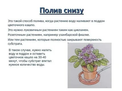 Сколько дней нужно поливать фундамент