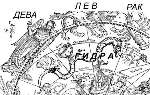 Карта девы