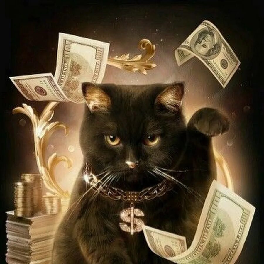 Once human денежный кот. Денежный кот картина. Животные с деньгами. Крутой кот. Денежный кот талисман.