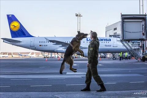 Таможня в аэропорту