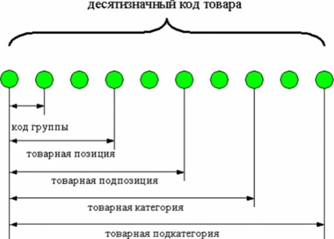 Код тн ВЭД ЕАЭС структура. Структура кода тн ВЭД ЕАЭС. Структура кода тн ВЭД. Структура товарного кода тн ВЭД. Код тн вэд