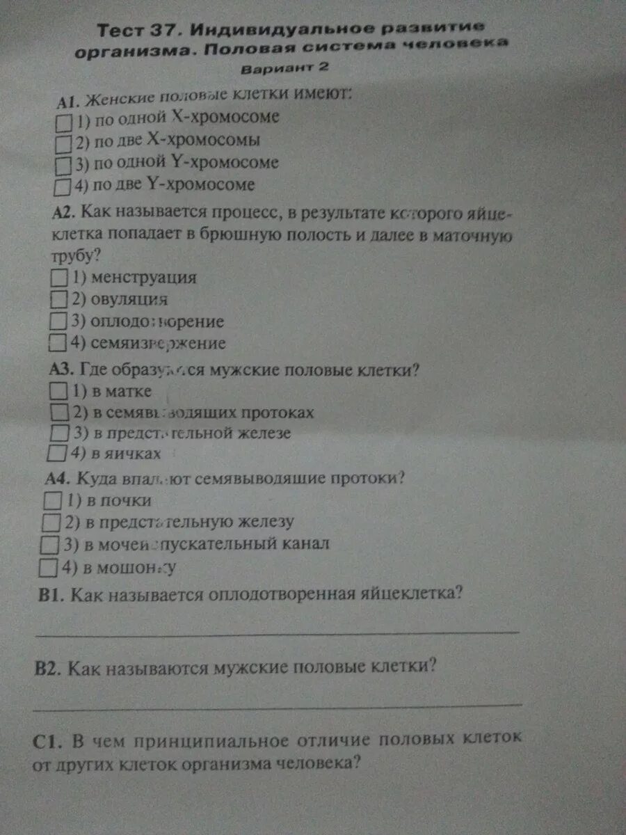 Тест по половой системе 8 класс