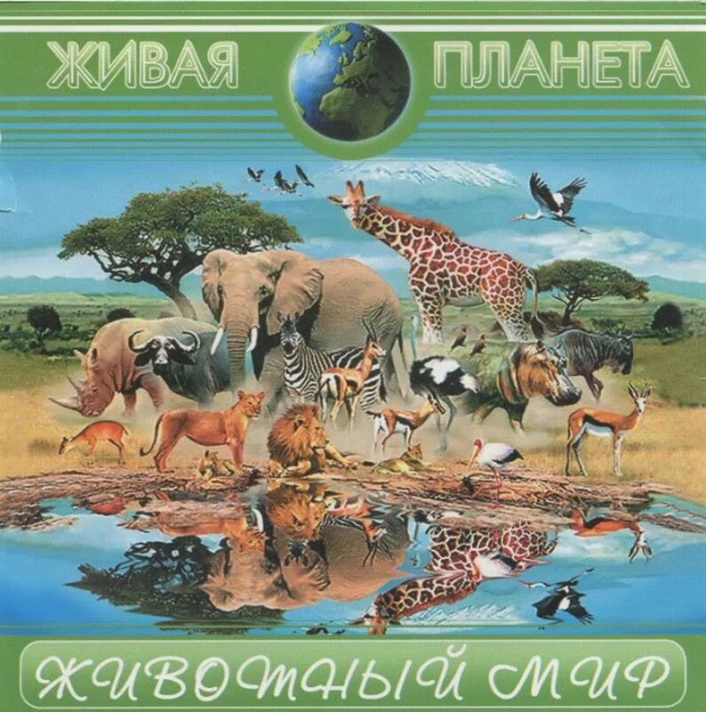 Живая планета. Песня живая планета. Телеканал живая планета. Звуки природы для релаксации. Песня живая планета.