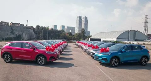 Byd champion edition