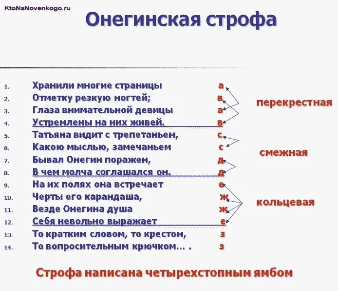 Схема онегинской строфы. Онегинская строфа. Онегинская строфа схема рифмовки. Виды строф в стихах. Форма построения стихотворения