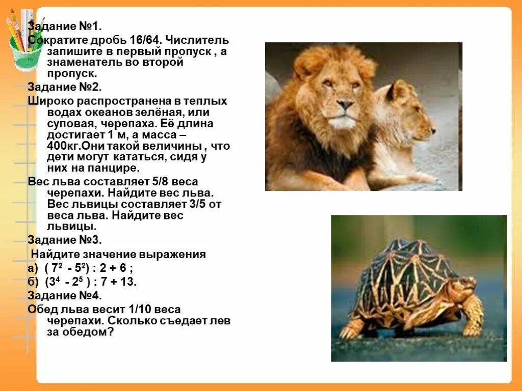 Вес Льва. Сколько весит Лев. Средняя масса Льва. Левсокольвесит. Лев сколько кг