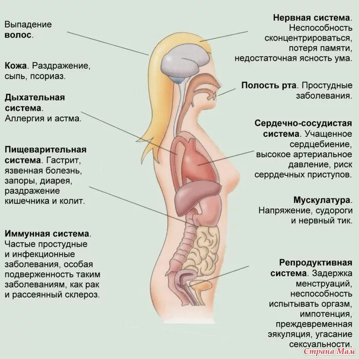 Во время болезни можно делать. Влияние стресса на организм. Воздействие стресса на организм человека. Влияние стресса на женский организм. Последствия стресса для организма женщины.