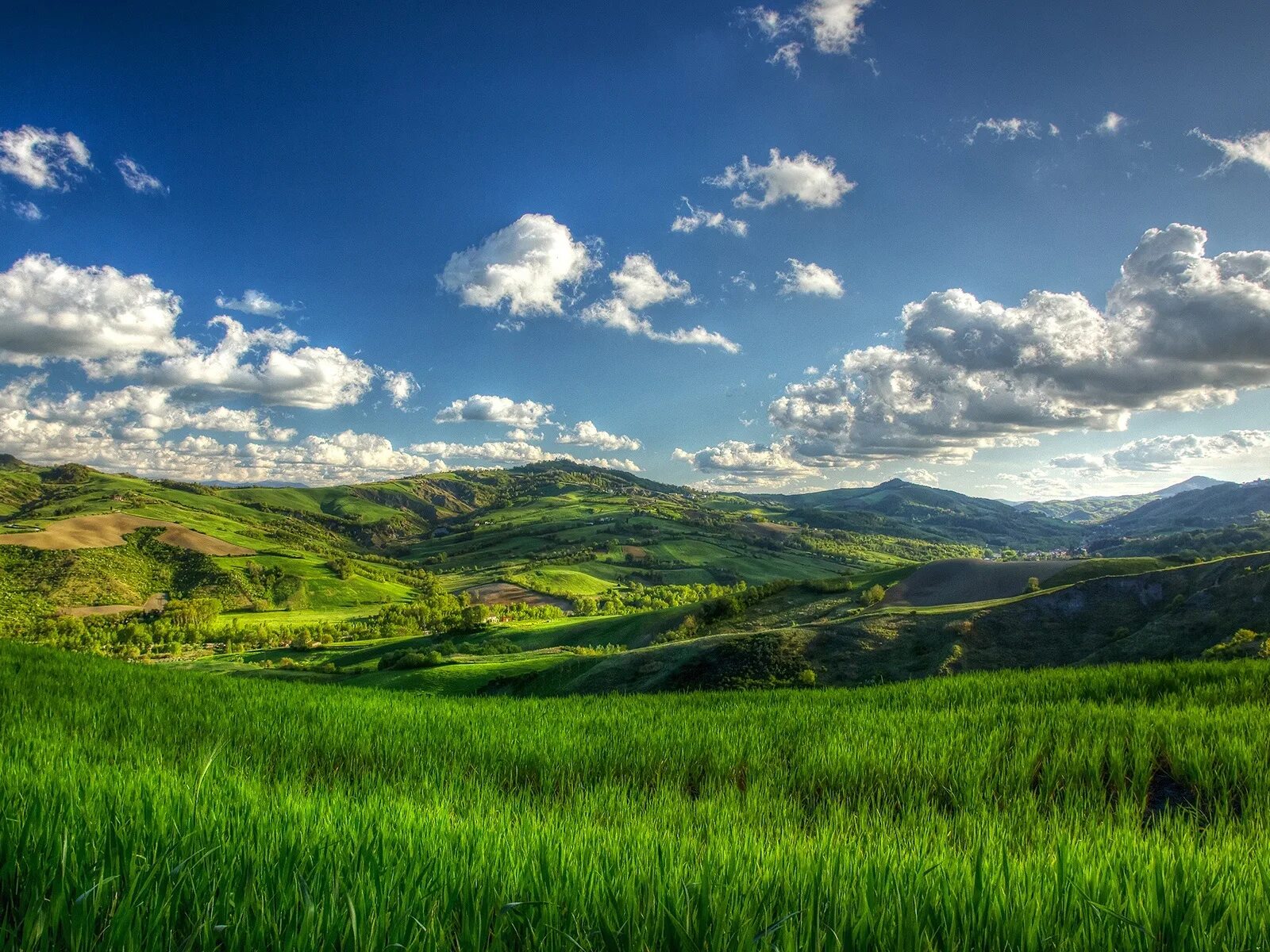 Лес долины холмы. Зеленая Долина горы поле. Green Hills зеленые холмы. Грин-Маунтинс. Грин Маунтинс хребет.