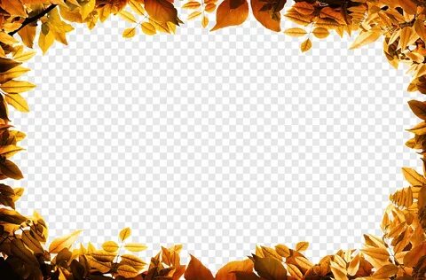 Осенние рамки для фотошопа на прозрачном фоне