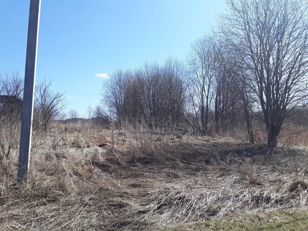 Погода ананьино пермский край. Погода ананьино пермский край. Погода ананьино пермский край. Село ананьино пермский край. Погода ананьино пермский край.