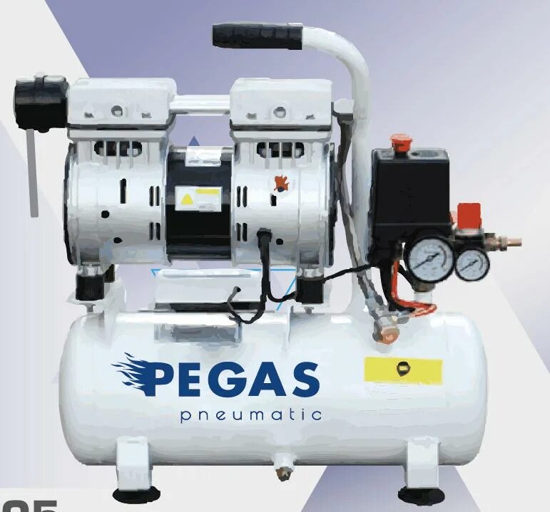 Безмасляные воздушные компрессоры 24 л купить. Компрессор Pegas pg600. Pegas PG-600/безмасляный. Компрессор PG 600. Компрессор безмасляный Пегас.