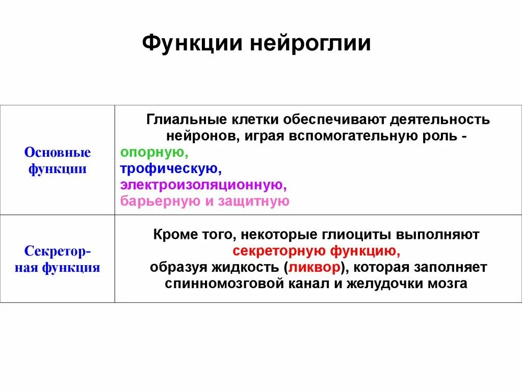 Клетки нейроглии выполняют следующие функции:. Функциональная роль нейроглии таблица. Перечислите функции нейроглии.. Типы глиальных клеток с функциями. Виды нейроглии