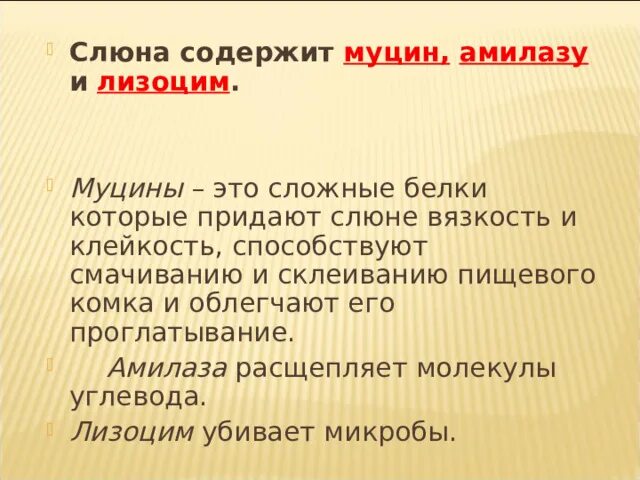 Что содержится в слюне. Белки слюны муцин лизоцим амилаза. Амилаза слюны расщепляет. Слюна содержит муцин. Муцин строение и функции.