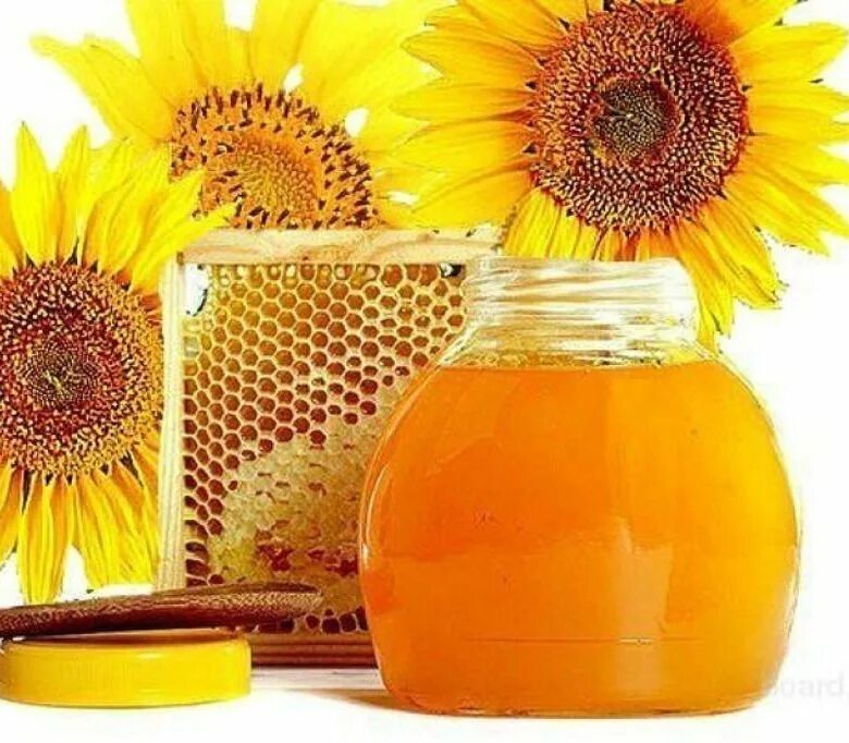 Мед подсолнух. Подсолнечниковый мёд. Мед из подсолнуха. Продукты пчеловодства в косметологии. Мед подсолнух фото.