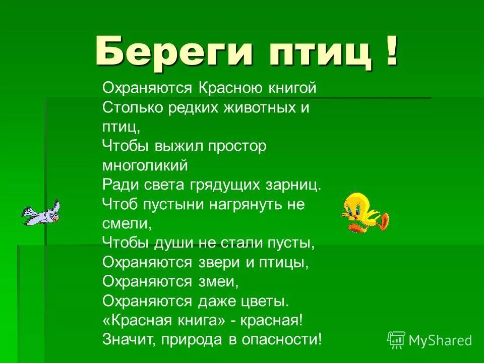 Почему важно уделять внимание охране диких животных. Берегите птиц стихи. Стих про защиту птиц. Стихи про птиц берегите птиц. Берегите птиц стихи для детей.