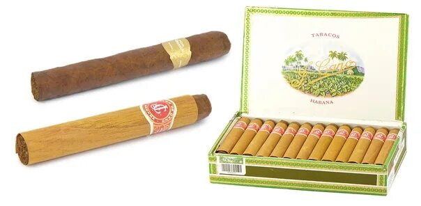 Flor de copan. Flor de copan. Gordito - сигары. Сигары la flor de cano cuba habana. Flor de copan.