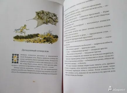 Ссора птиц индийская сказка
