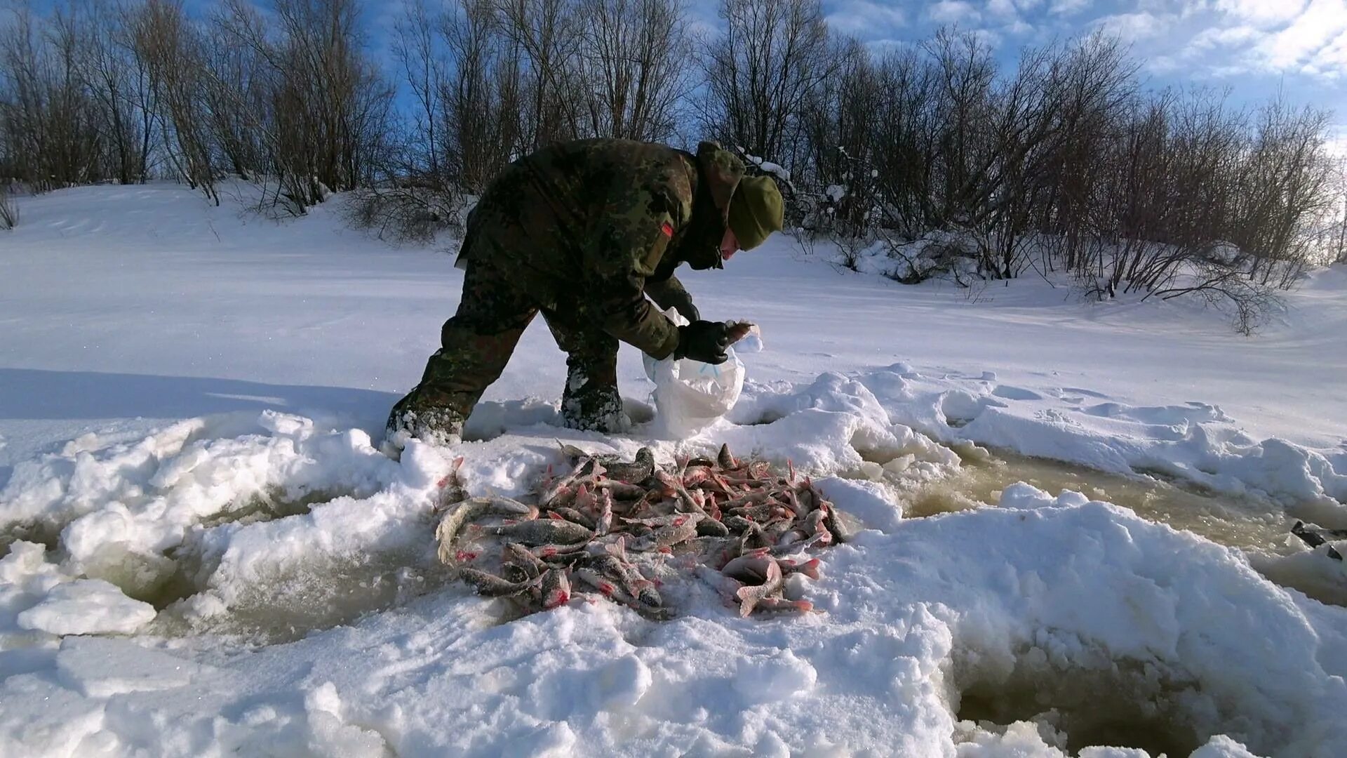 Зимняя ловля видео. Рыбалка на севере. Зимняя рыбалка в тайге. Зимняя рыбалка на севере. Рыбалка на севере зимой.