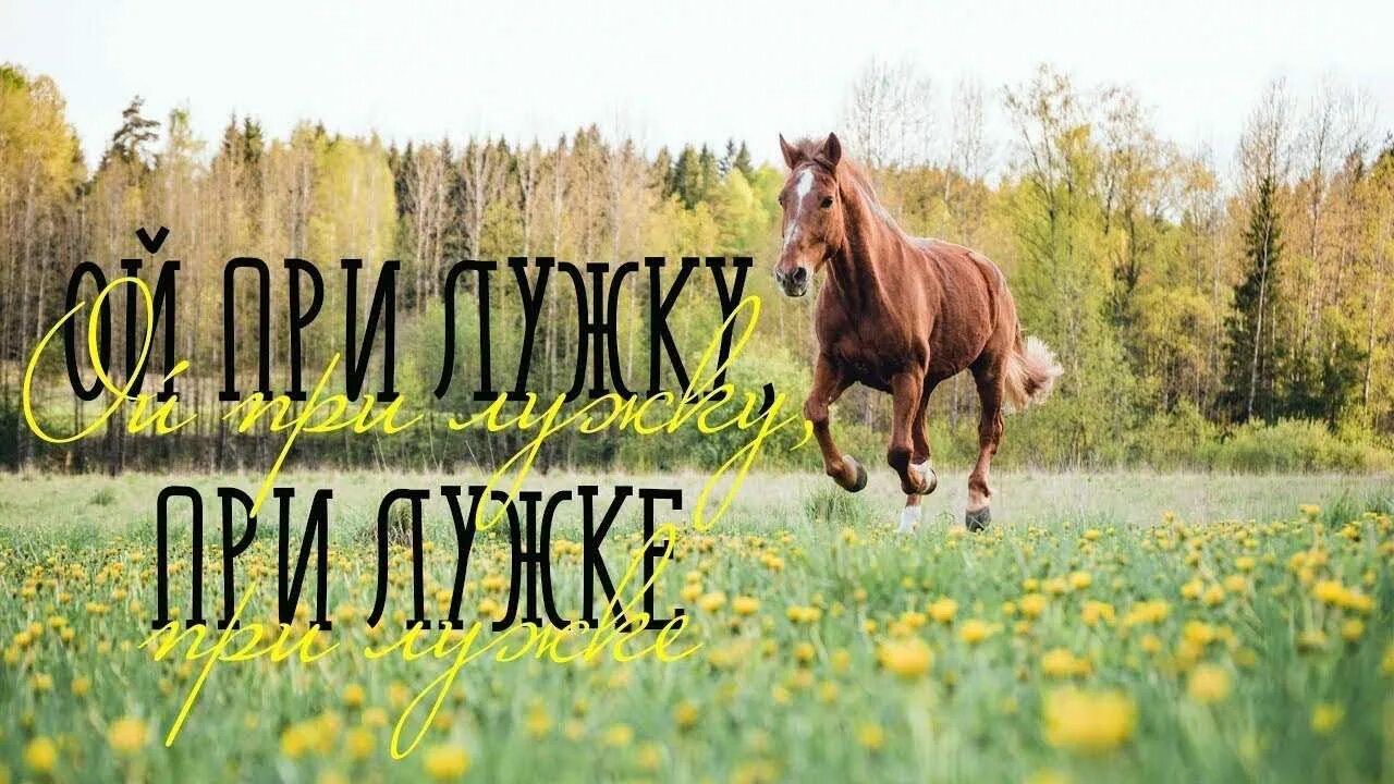 Ой при лужку при лужке казачий. Ой при лужке. ой при лужку при лужке. ой при лужку при лужке картинка. при лужке при лужке при широком поле.