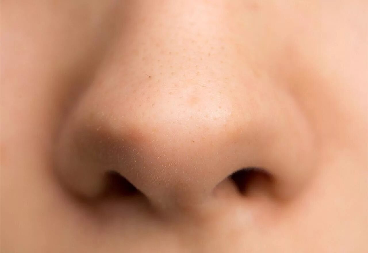 Нос. Детский нос. Изображение носа для детей. Нос картинка. Покажи картинки носа