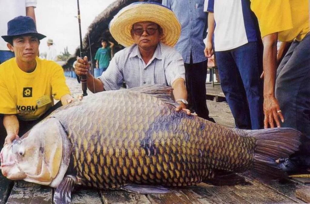 сам большую рыбу