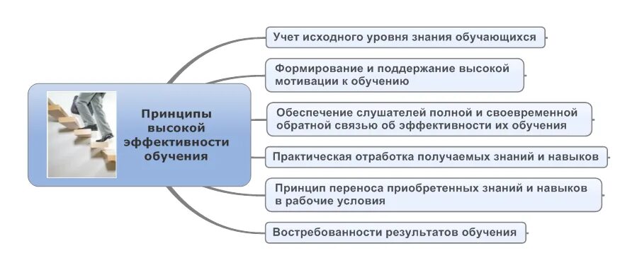 Какие методы наиболее эффективны для обучения персонала. Эффективность процесса обучения. Принципы обучения сотрудников. Принципы эффективного обучения. Принципы обучения персонала.