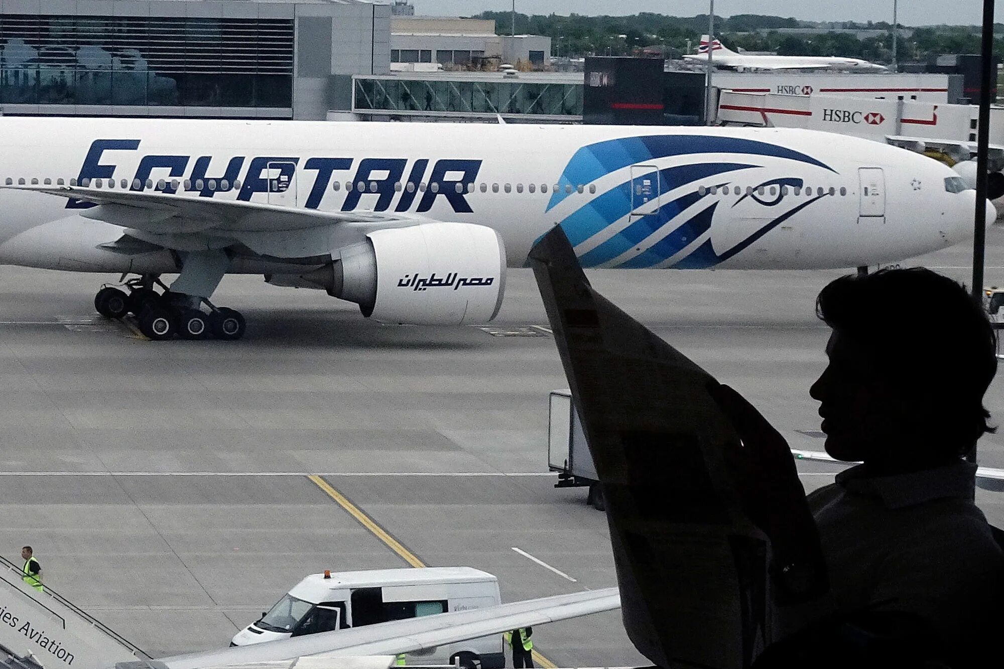 Egyptair отзывы. EGYPTAIR MS 911 борт. Рейс 804 EGYPTAIR. Катастрофа a320 над Средиземным морем. EGYPTAIR Москва.