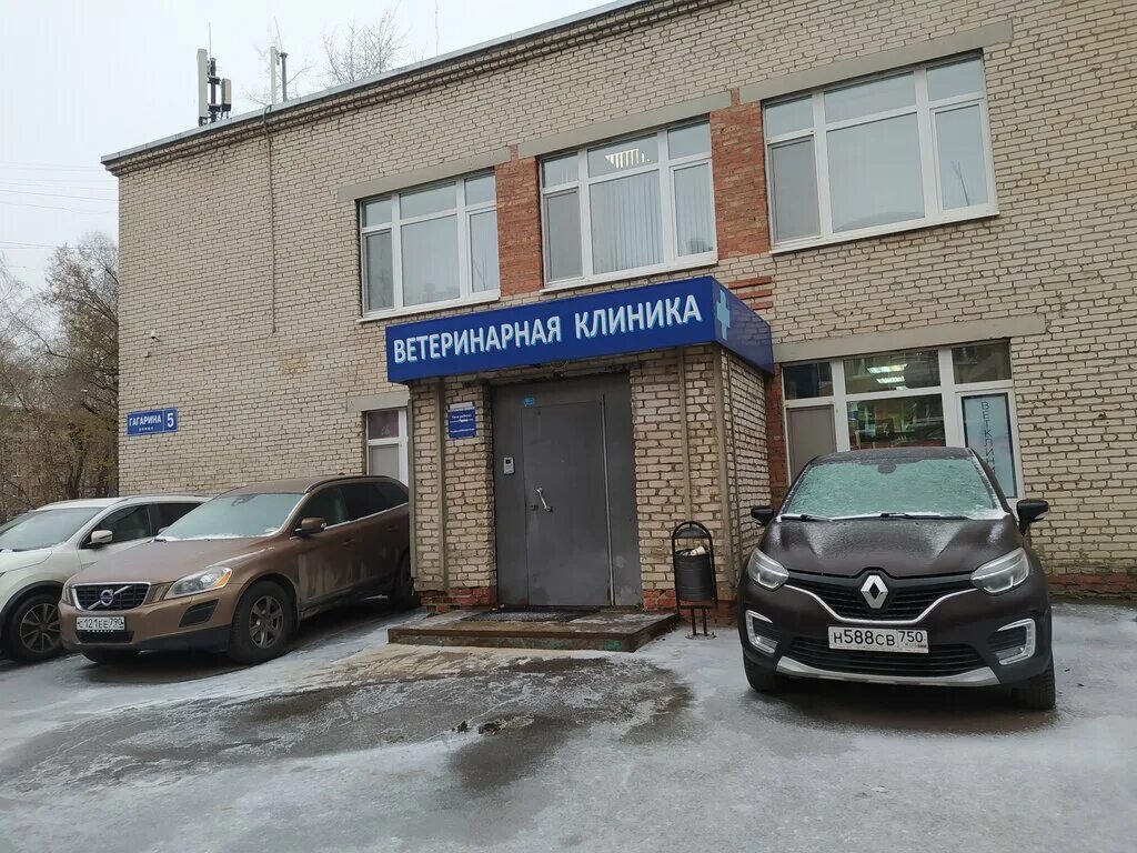 Октября 36 реутов. Ветклиника государственная в реутов. Ветеринарка реутов. Ветклиники реутово. Ветклиники реутово.