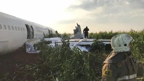 Летчики в поле