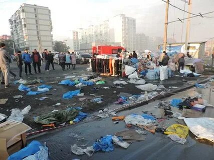 Темерник сегодня
