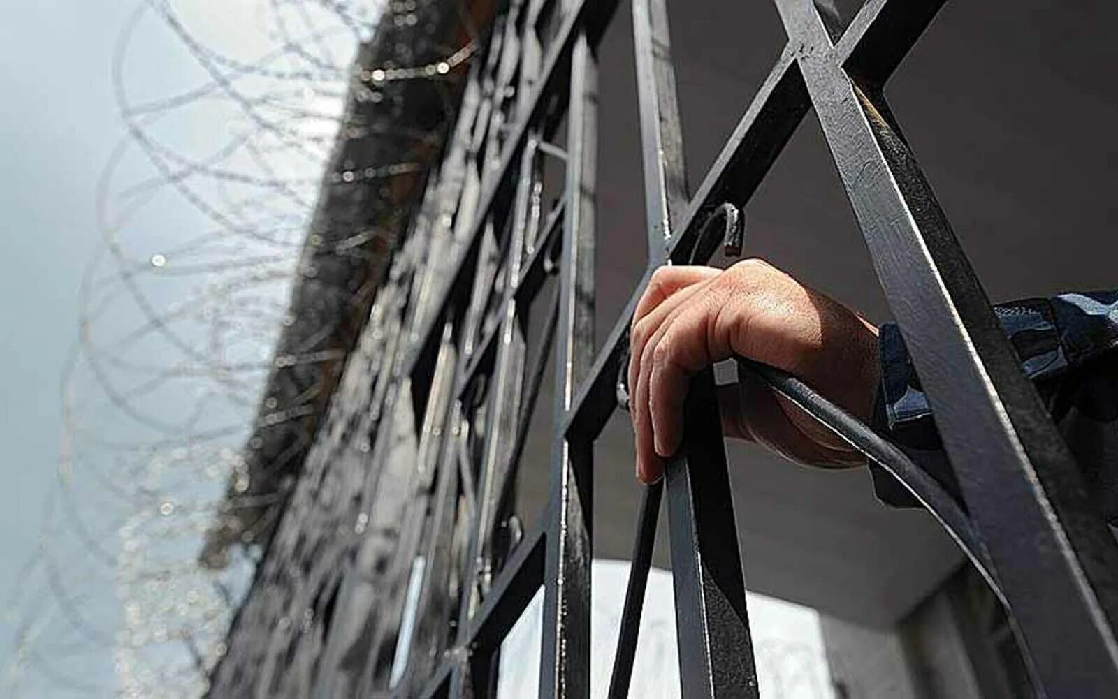 Свобода бывшей колонии. Свобода бывшей колонии