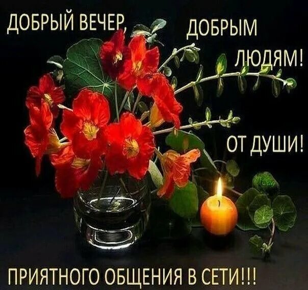 Добрый вечер а что значит слушать. Стихи про вечер короткие и красивые. Хорошего вечера и настроения. Добрый вечер а что значит слушать. Вечерние цветы.