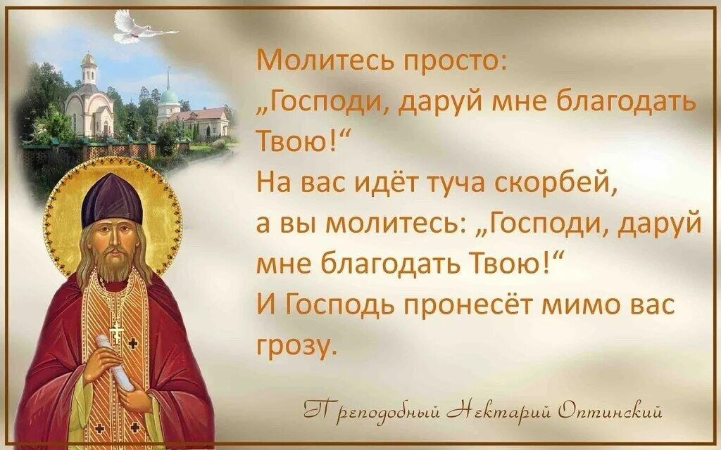 Я всем прощение дарую. Православные высказывания. Высказывания святых. Молитвами святых отец. Изречения святых отцов.