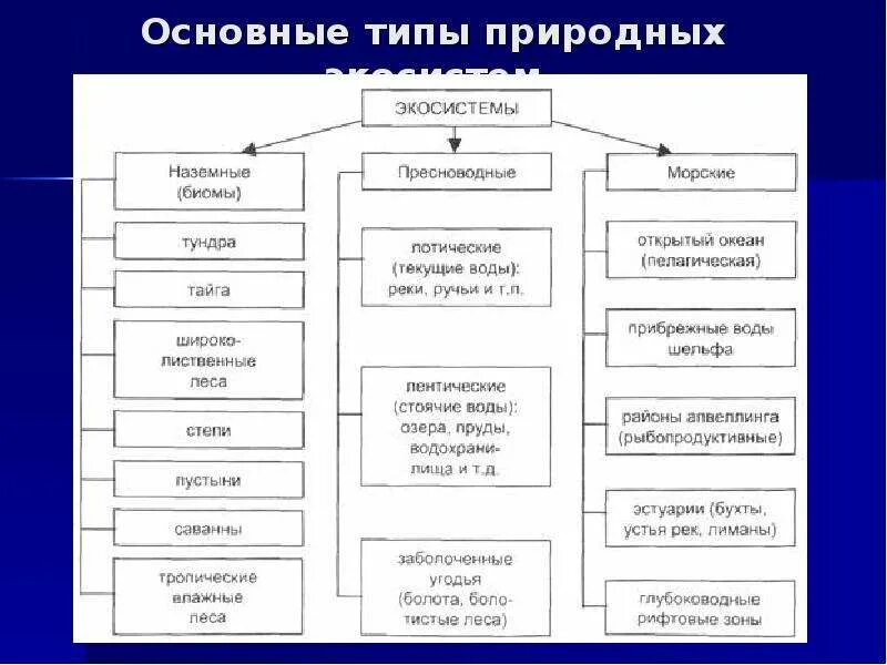 Чем отличаются природные экосистемы. Типы природных экосистем. Основные типы природных наземных экосистем. Экосистема классификация экосистем. Виды экосистем схема.