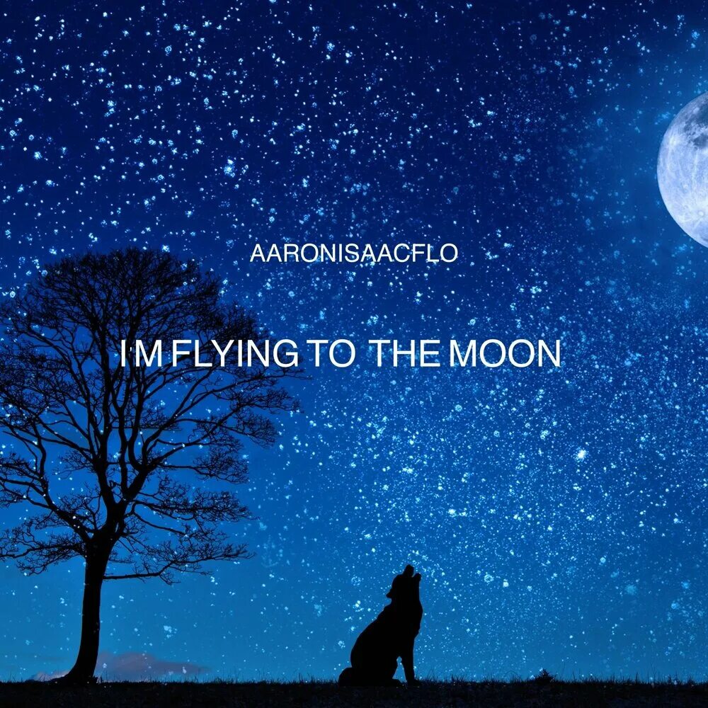 Noche de luna. Noche de luna. Пепельный свет луны. Звездное небо с луной. Лунное небо.