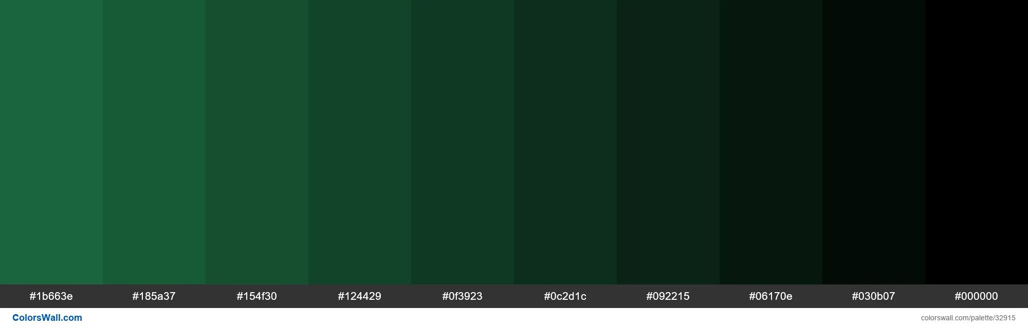 Зеленый 008000. Оттенки зеленого hex. Зеленый цвет RGB. Зелёный тёмный цвет RGB. Код темно зеленого цвета