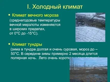 Какая влажность в тундре