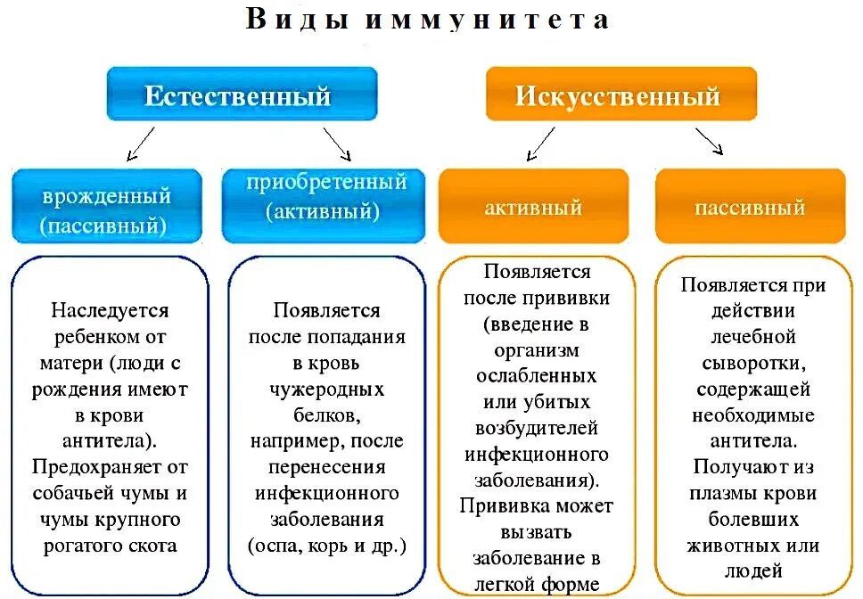 Активный и пассивный иммунитет таблица 2. Характеристика видов иммунитета. Иммунитет схема по биологии 8 класс. Приобретенный иммунитет схема. Иммунная биология