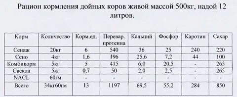 Корову надо кормить