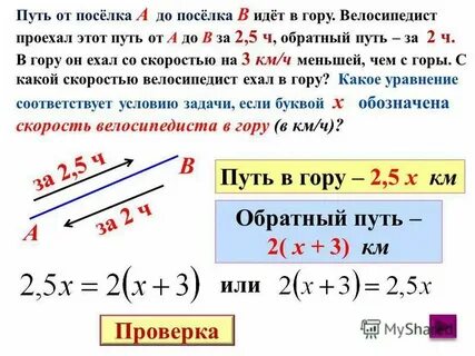 Определите сколько решений имеет система