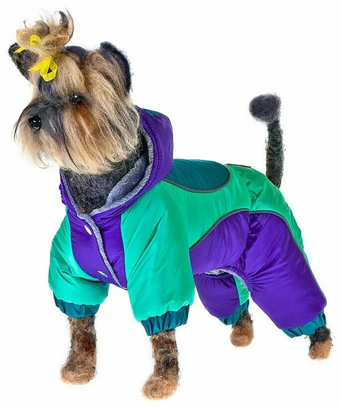 Dogmoda одежда для собак. Одежда для собак мелких пород. Комбинезон демисезонный йорк 22см гамма. Комбинезон для йорка. Одежка для собак.