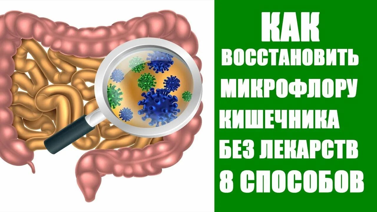Как восстановить кишечную микрофлору
