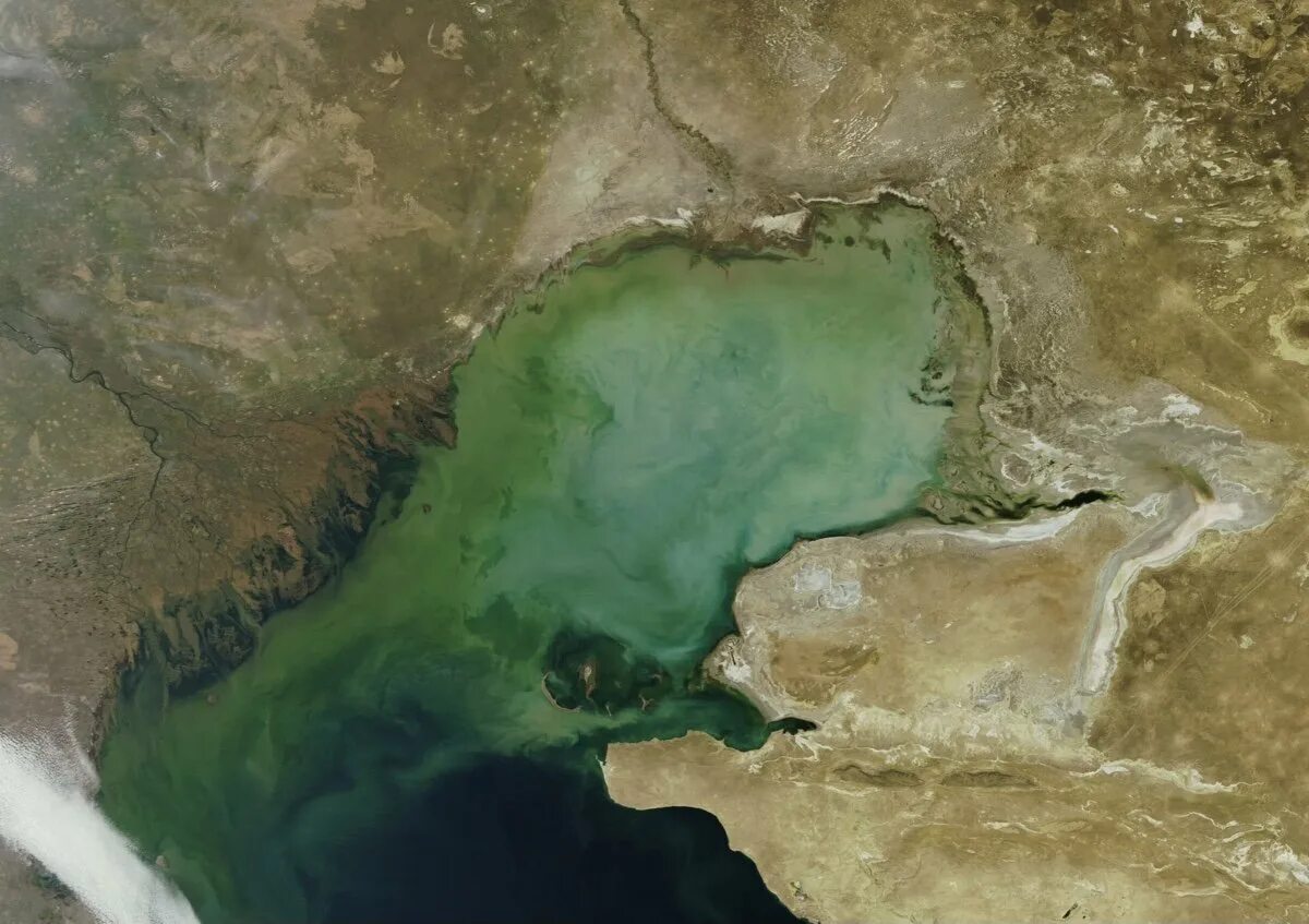Аральское море 2020 Спутник. Аральское море 2020. Черное Каспийское Аральское море. Аральское море вид из космоса. Каспийское озеро объем воды
