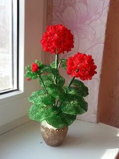 Герань своими руками