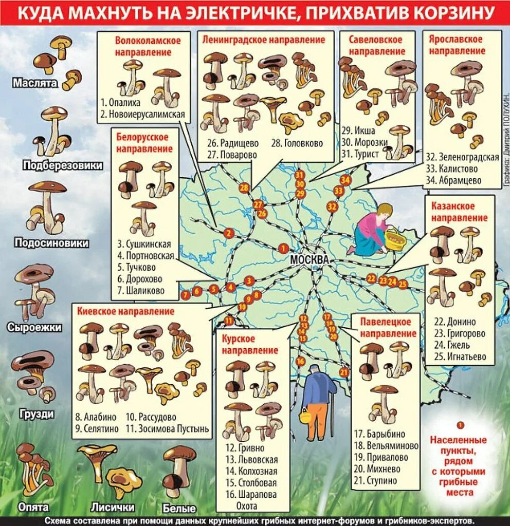 Где в подмосковье собирают. Грибные места Подмосковья на карте. Грибные места в Подмосковье 2021 на карте. Карта грибов Московской области. Карта грибных мест Московской области.