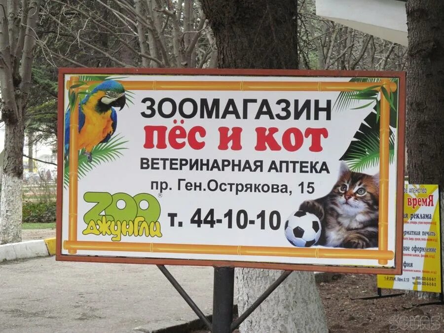 пёс и кот ветеринарная клиника. пёс и кот ветеринарная клиника. ветеринарная клиника кот и пес кимры. магазин кот и пес в саратове. рыжий кот ветеринарная клиника.