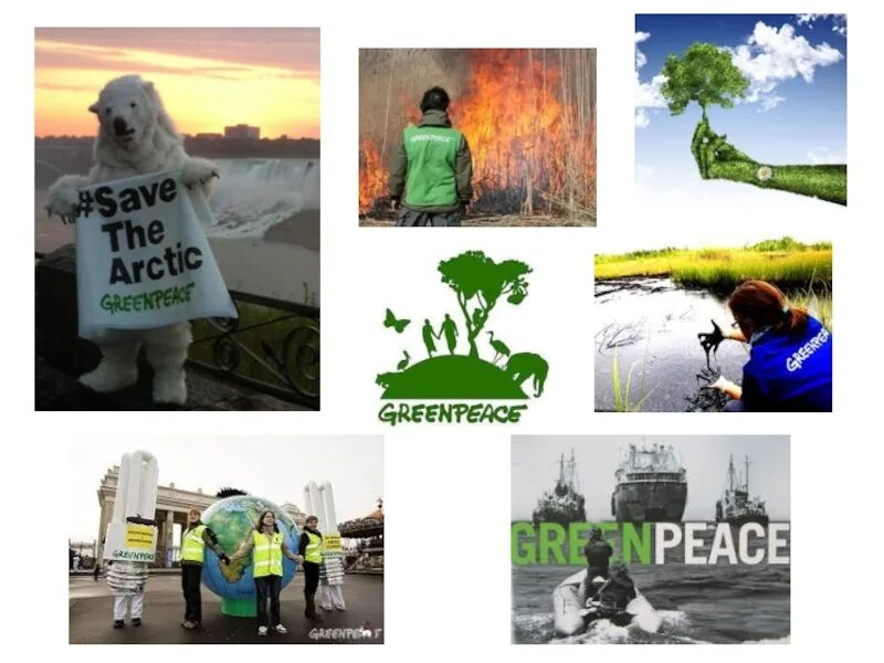 Greenpeace organization