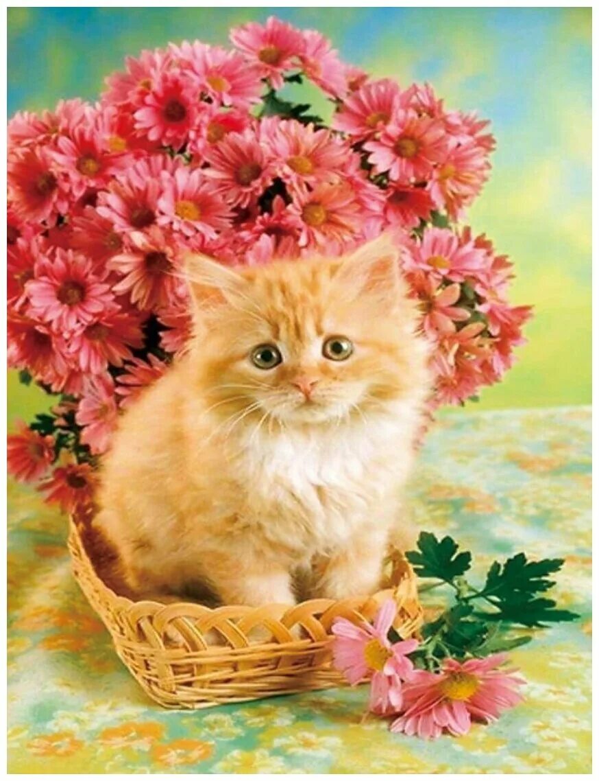 рыжий котёнок. кошечка в цветах. алмазная мозаика рыжий котенок. весенние котята. рыжий котёнок ждёт.