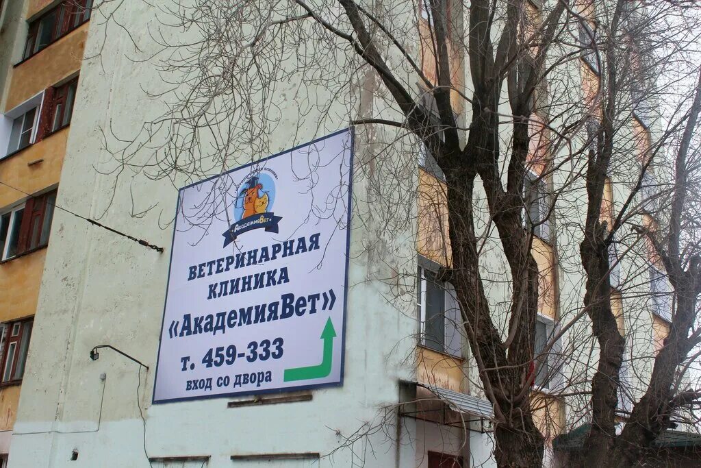 ветклиника киров ленина